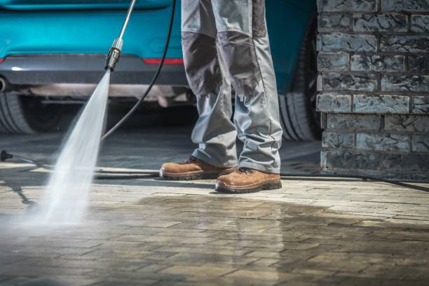 Best Fleet Vehicle Washing  in Bayshore Gardens, FL