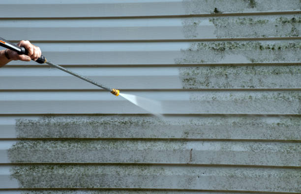 Professional Pressure Washing in Bayshore Gardens, FL