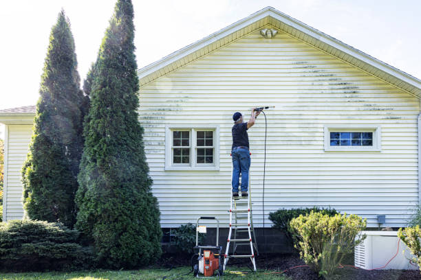 Best Driveway Pressure Washing  in Bayshore Gardens, FL